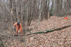 2023-12-27-Soffiatura-foglie-alla-Baracca-14