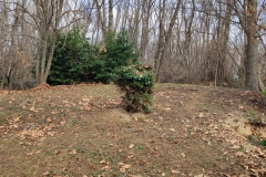 2023-12-27-Soffiatura-foglie-alla-Baracca-2