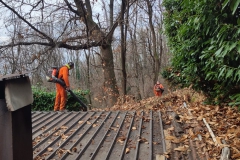 2023-12-27-Soffiatura-foglie-alla-Baracca-8