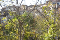 2009-10-31-Collebrincioni-consegna-lavori-3-scaled