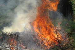 2010-Esercitazione-antincendio-in-sede-28-scaled