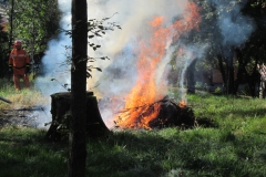 2010-Esercitazione-antincendio-in-sede-30-scaled