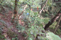 2010-Pulizia-Torrente-Gardellone-parte-alta-11-scaled