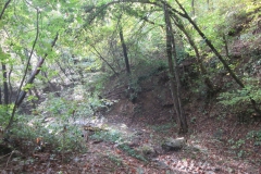 2010-Pulizia-Torrente-Gardellone-parte-alta-13-scaled