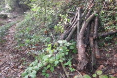 2010-Pulizia-Torrente-Gardellone-parte-alta-15-scaled