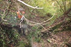 2010-Pulizia-Torrente-Gardellone-parte-alta-17-scaled