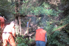 2010-Pulizia-Torrente-Gardellone-parte-alta-18-scaled