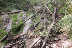 2010-Pulizia-Torrente-Gardellone-parte-alta-19-scaled