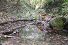 2010-Pulizia-Torrente-Gardellone-parte-alta-2-scaled