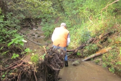 2010-Pulizia-Torrente-Gardellone-parte-alta-21-scaled