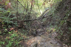 2010-Pulizia-Torrente-Gardellone-parte-alta-22-scaled