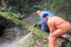 2010-Pulizia-Torrente-Gardellone-parte-alta-25-scaled