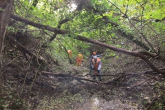 2010-Pulizia-Torrente-Gardellone-parte-alta-28-scaled