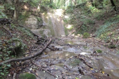 2010-Pulizia-Torrente-Gardellone-parte-alta-29-scaled