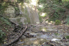 2010-Pulizia-Torrente-Gardellone-parte-alta-30-scaled