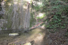 2010-Pulizia-Torrente-Gardellone-parte-alta-31-scaled