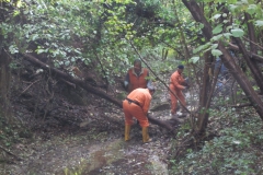 2010-Pulizia-Torrente-Gardellone-parte-alta-32-scaled