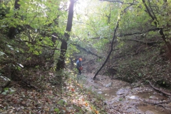 2010-Pulizia-Torrente-Gardellone-parte-alta-33-scaled