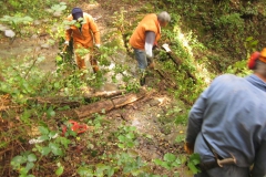 2010-Pulizia-Torrente-Gardellone-parte-alta-36-scaled