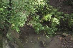 2010-Pulizia-Torrente-Gardellone-parte-alta-37-scaled