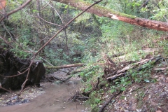 2010-Pulizia-Torrente-Gardellone-parte-alta-4-scaled