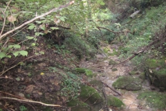 2010-Pulizia-Torrente-Gardellone-parte-alta-41-scaled