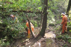 2010-Pulizia-Torrente-Gardellone-parte-alta-45-scaled