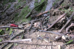 2010-Pulizia-Torrente-Gardellone-parte-alta-47-scaled