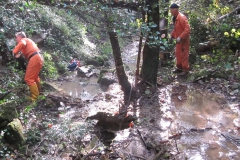 2010-Pulizia-Torrente-Gardellone-parte-alta-48-scaled