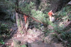 2010-Pulizia-Torrente-Gardellone-parte-alta-49-scaled