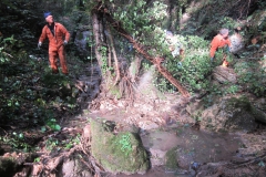 2010-Pulizia-Torrente-Gardellone-parte-alta-50-scaled