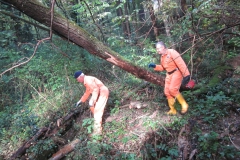 2010-Pulizia-Torrente-Gardellone-parte-alta-6-scaled
