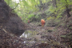 2010-Pulizia-Torrente-Gardellone-parte-alta-7-scaled