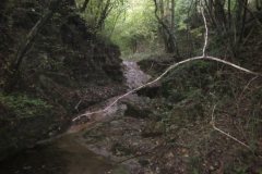 2010-Pulizia-Torrente-Gardellone-parte-alta-8-scaled