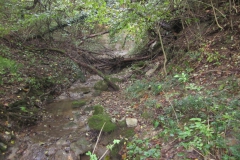 2010-Pulizia-Torrente-Gardellone-parte-alta-9-scaled