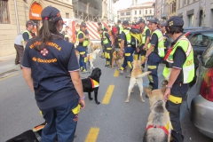 2009-festa-del-volontariato-7-scaled