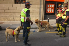 2009-festa-del-volontariato-8-scaled
