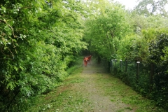 2021-05-08-Pista-ciclabile-Valmarina-12