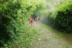 2021-05-08-Pista-ciclabile-Valmarina-7