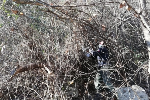 2021-Sentiero del Giusy