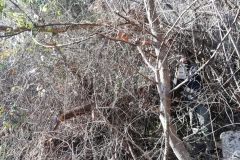 2021-01-13-Sentiero-del-Giusy-1