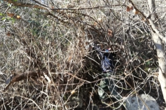 2021-01-13-Sentiero-del-Giusy-2