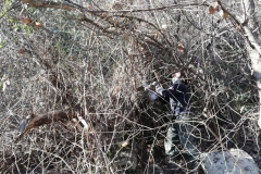 2021-01-13-Sentiero-del-Giusy-4