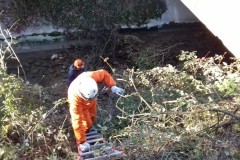 2021-01-13-Taglio-pianta-Gardellone-5