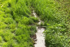 2022-08-24-Pulizia-Pe-dOca-14