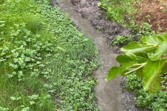 2022-08-24-Pulizia-Pe-dOca-17