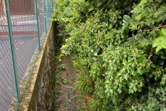 2022-08-24-Pulizia-Pe-dOca-8