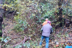 2022 - Taglio sentiero 407 Gaito - S. Rocco