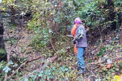 2022-11-16-Taglio-piante-sentiero-407-Gaito-S.Rocco-1