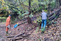 2022-11-16-Taglio-piante-sentiero-407-Gaito-S.Rocco-12